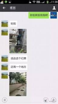 三亚网友爆料新闻最新,神秘事件引发热议，真相即将揭晓！