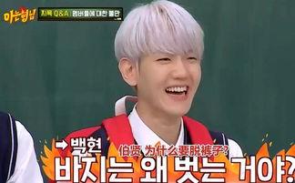 伯贤认哥爆料视频大全最新,揭秘偶像背后的真实生活