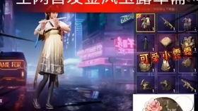 刺激战场最新军需爆料,神秘装备亮相，战场格局再起风云