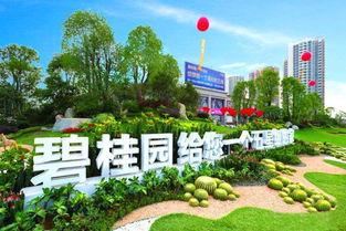 襄阳碧桂园爆料案件最新