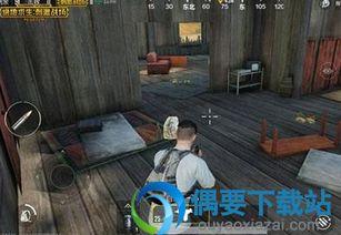 手游吃鸡最新爆料,全新玩法与角色，带你领略极致竞技体验！